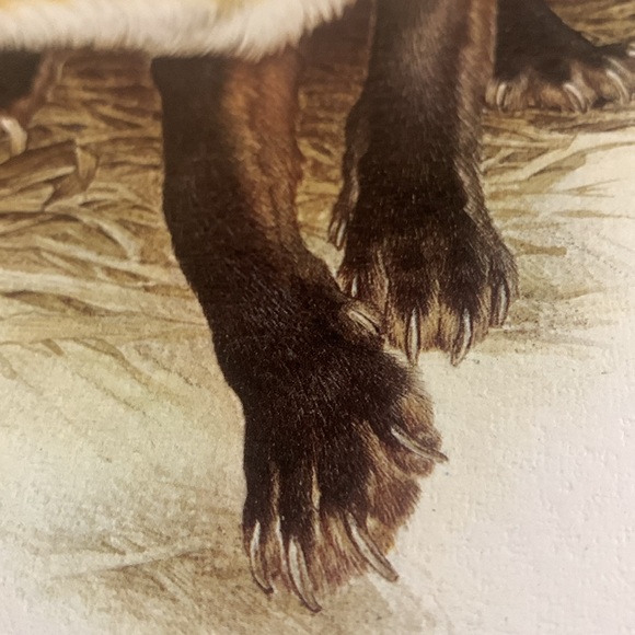 Glen Loates “FOX” 18 x 23 in signed / sealed lithograph - Picture 5 of 13